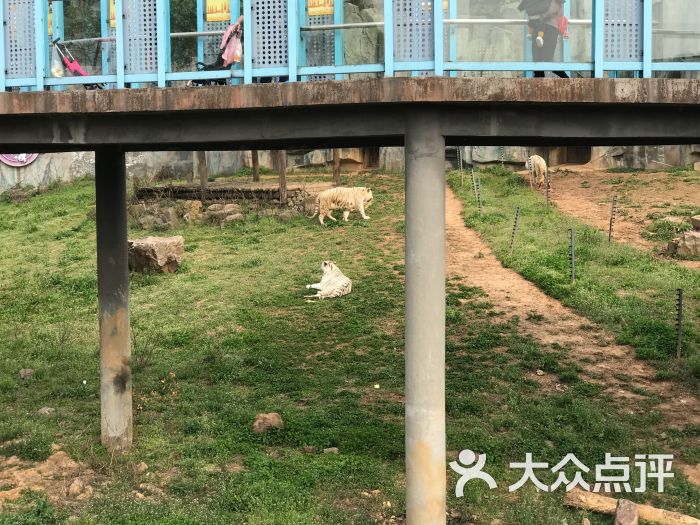 無錫動物園·太湖歡樂園圖片 - 第10張