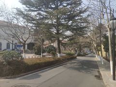 -八大关景区