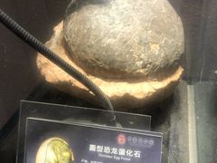 -中华赏石园