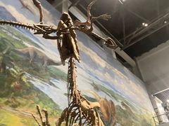 -自贡恐龙博物馆