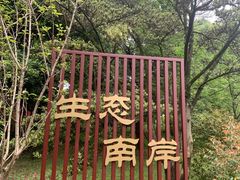 -南山植物园