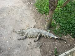 -广州长隆飞鸟乐园
