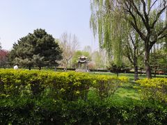 -赵州桥景区