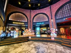 -CGV影城(壹方城IMAX店)