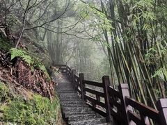 -缙云山景区