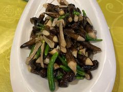 乳瓜鸡枞菌-马凯餐厅(长椿街店)