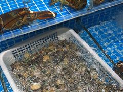 -海旺小海鲜大排档(冠亚星城店)