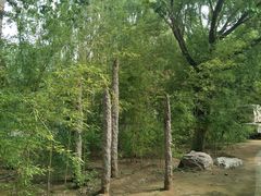 -大兴滨河森林公园