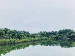 -东部华侨城