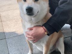 -关爱宠物医院·猫科中心·消化科(滨湖万达分院)
