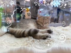 -百联川沙购物中心