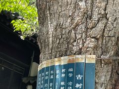 -苏州文庙(姑苏区)