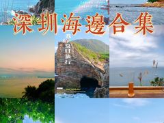 -深圳市中科院仙湖植物园