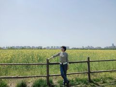 -汉长安城未央宫国家考古遗址公园