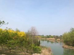 -南湖国家城市湿地公园