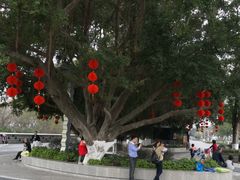 -宝安西湾红树林湿地公园