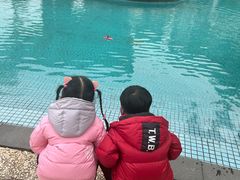 -宁波九龙湖开元度假村