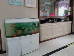 -邢台妇产医院