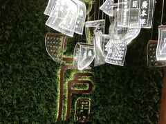 -新紫霞养生·影院足道·SPA(金山区店)