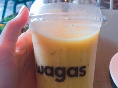 -Wagas沃歌斯(富力广场店)