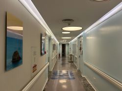 -杭州贝瑞斯美华妇儿医院·早孕·产检·儿科