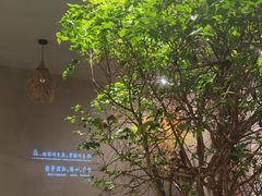 -森SPA·泰式按摩·精油Massage(宝安中心店)