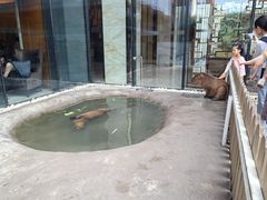 -廊坊固安福朋喜来登酒店