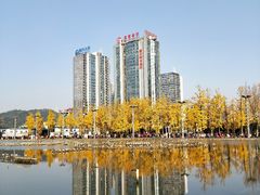 -百林公园-两江幸福广场