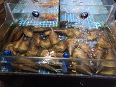 -吉源大排档·鱼生·海鲜(烧烤彩印厂店)