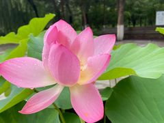 -齐齐哈尔市博物馆