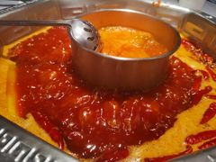 -蜀九香火锅(九眼桥店)