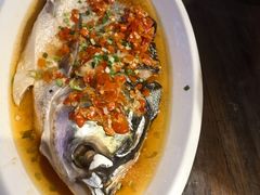 -印象鲵宴·张家界地标美食名片(溪布街店)