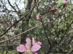 -穹窿山景区