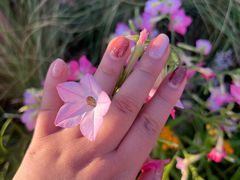 -海底捞火锅(石厦时代广场店)