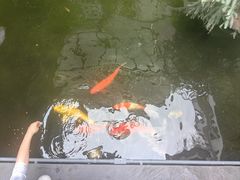 -漫笙舍Manse·咖啡·民宿