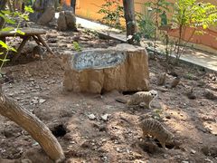 -石家庄市动物园