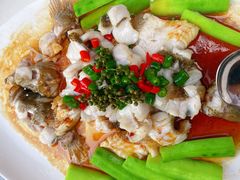 -猪肉婆私房菜(容桂总店)