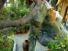 -疯狂屋