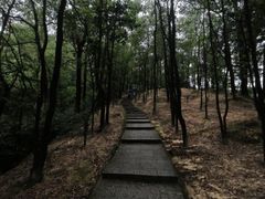 -火炉山森林公园