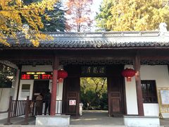 -汇龙潭