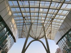 -石家庄市植物园