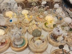 -济南恒隆广场