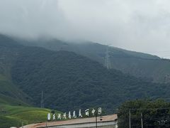 -猫的魔法密林(衣裳街店)