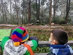 -中国大熊猫保护研究中心雅安碧峰峡基地