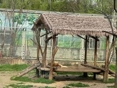 -西安秦岭野生动物园