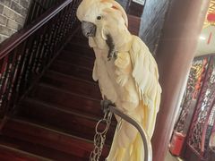 -四海楼(如皋定慧禅寺店)
