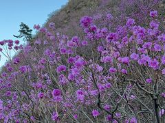 -青岛大珠山景区