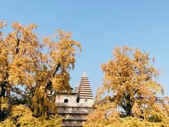 -北京石刻艺术博物馆(五塔寺)