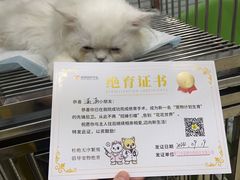 -福懋动物医院·犬猫全科·外科·重症科(杏林分院)