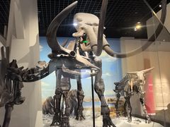 -国家自然博物馆